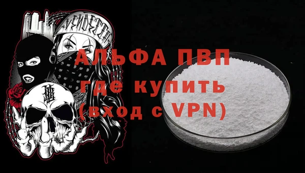 spice Бердск