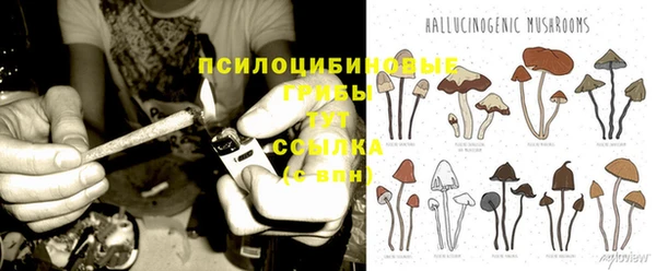 СК Майский