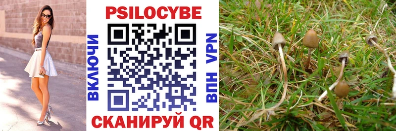 Галлюциногенные грибы MAGIC MUSHROOMS Усть-Катав