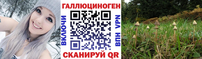 Галлюциногенные грибы GOLDEN TEACHER  Усть-Катав 