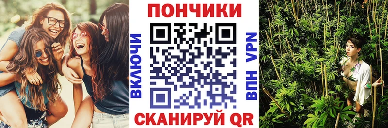 Каннабис план закладка блэк спрут ссылки Усть-Катав